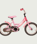 14.101 - BikeFlip