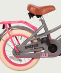 14.109P - BikeFlip