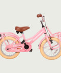 14.111P - BikeFlip