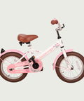 14.114P - BikeFlip