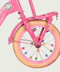 14.207 kinderfiets - BikeFlip