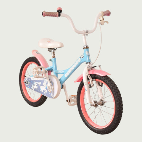 16.1023 kinderfiets - BikeFlip