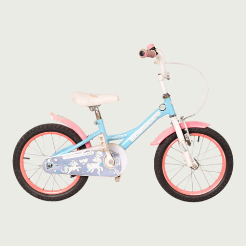 16.1023 kinderfiets - BikeFlip
