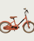 16.209 - BikeFlip