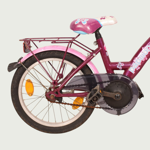 16.252 - BikeFlip