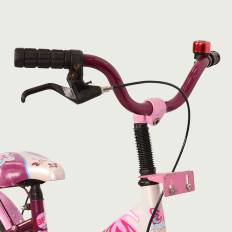 16.252 - BikeFlip