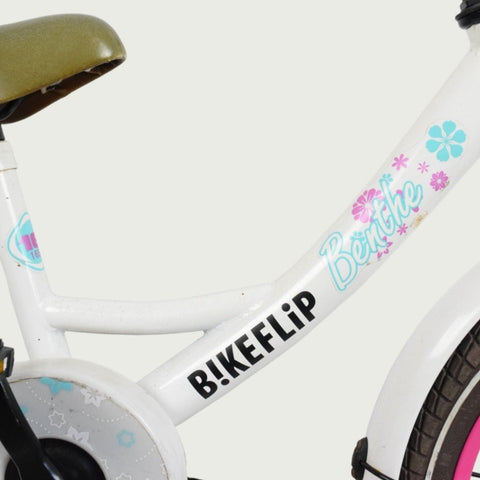 16.290 - BikeFlip