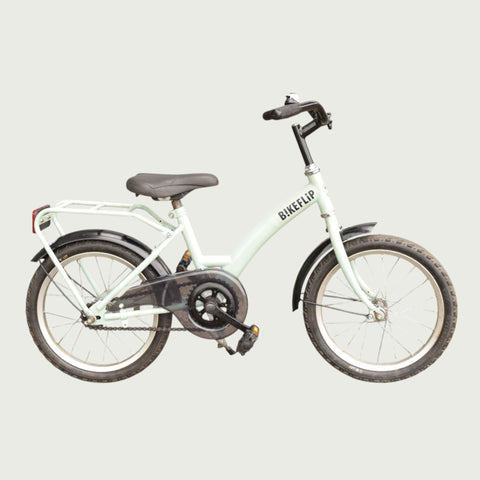 16.579 - BikeFlip