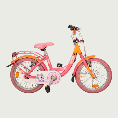 16.613 - BikeFlip
