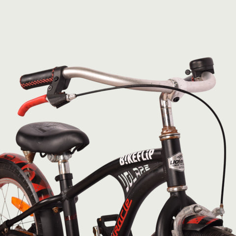 16.621 - BikeFlip