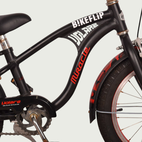 16.621 - BikeFlip