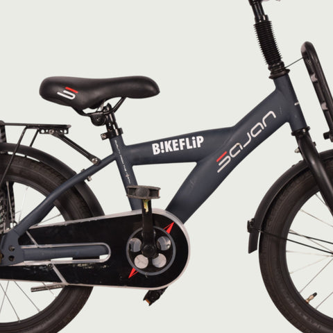 16.634 - BikeFlip