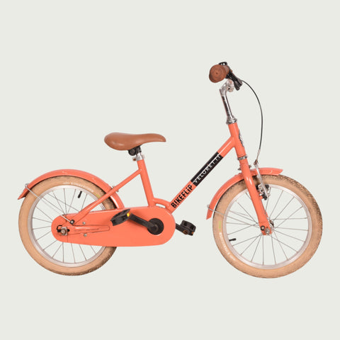 16.647 kinderfiets - BikeFlip
