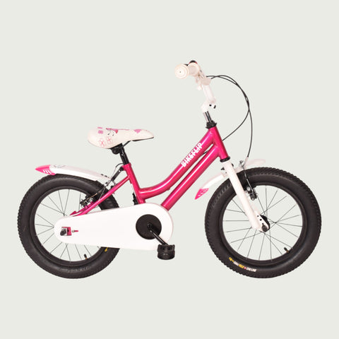 16.711 kinderfiets - BikeFlip