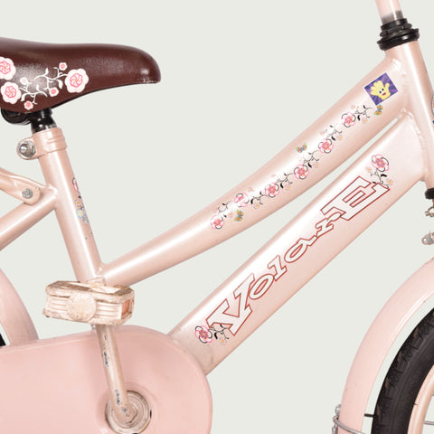 16.727 kinderfiets - BikeFlip