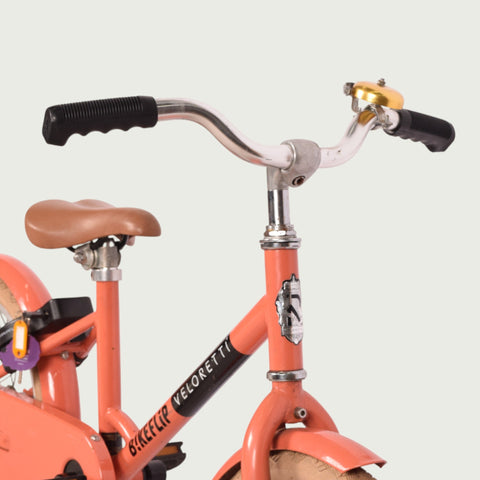 16.764 kinderfiets - BikeFlip