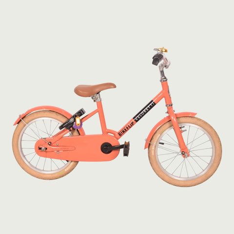 16.764 kinderfiets - BikeFlip