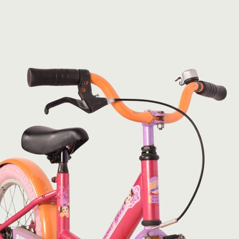 16.765 kinderfiets - BikeFlip