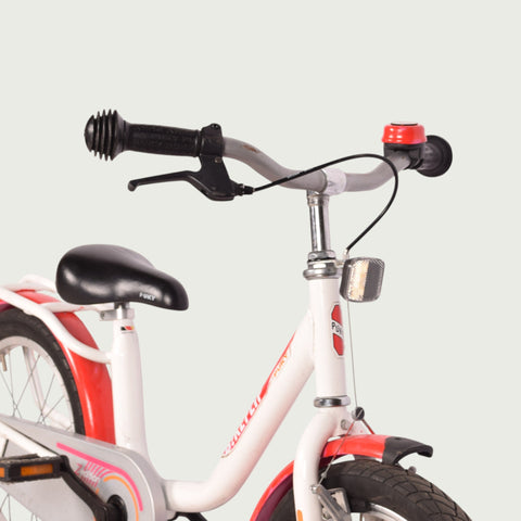 16.831 kinderfiets - BikeFlip