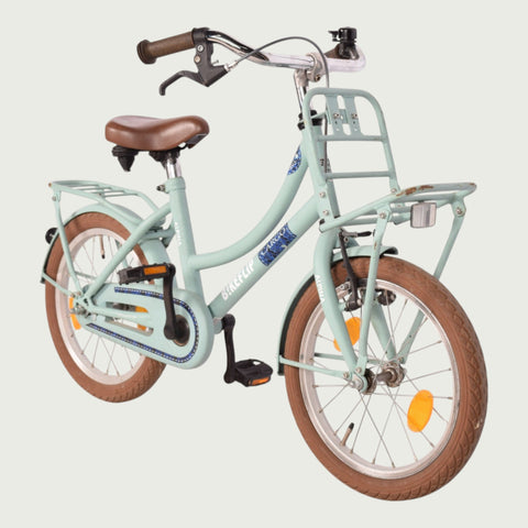 16.858 kinderfiets - BikeFlip