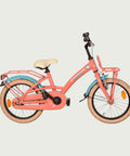 16.973 kinderfiets - BikeFlip