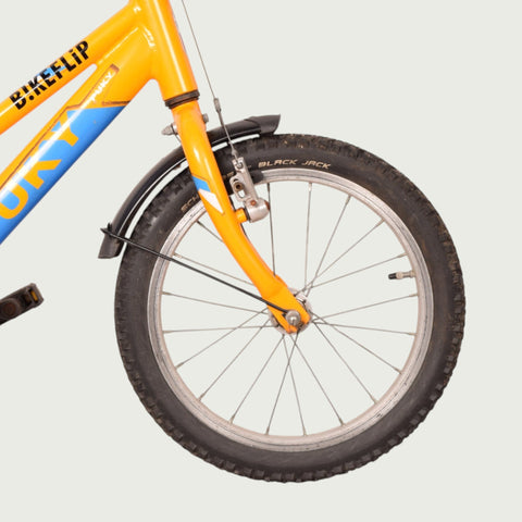 16.993 kinderfiets - BikeFlip