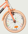 16.997 kinderfiets - BikeFlip
