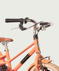 16.997 kinderfiets - BikeFlip