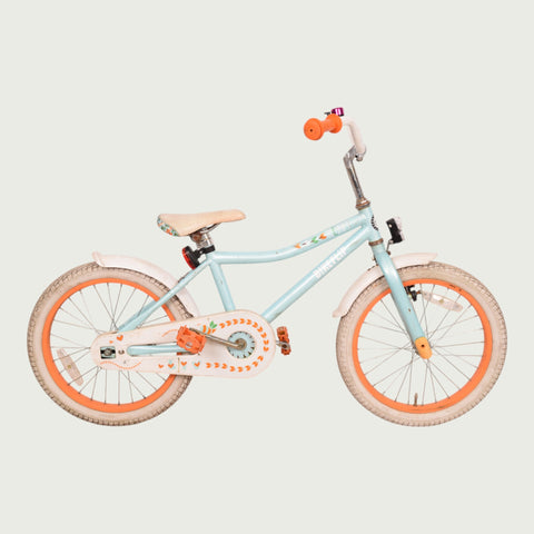 18.313 - BikeFlip