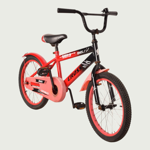 18.574 kinderfiets - BikeFlip