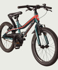 18.611 kinderfiets - BikeFlip