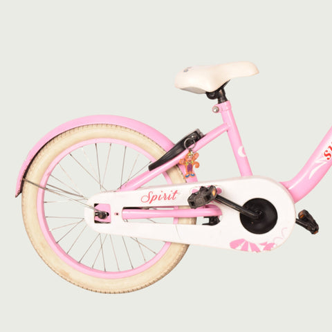 18.629 kinderfiets - BikeFlip