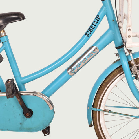 20.1011 kinderfiets - BikeFlip