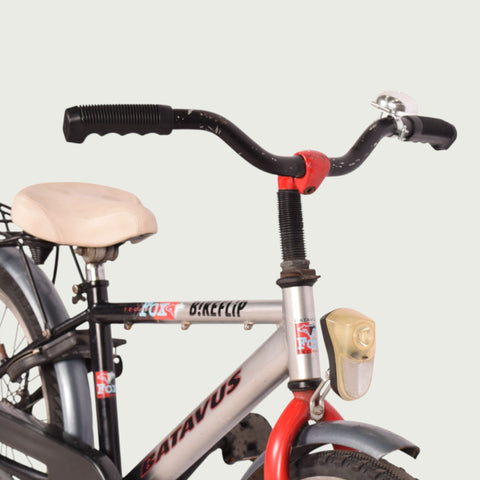 batavus kinderfahrrad 20 zoll Batavus children's bicycle - 20 inch for 6-8 years - silver