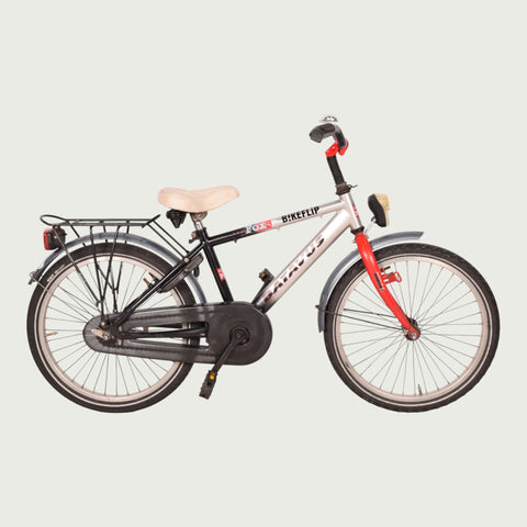 batavus kinderfahrrad 20 zoll Batavus children's bicycle - 20 inch for 6-8 years - silver