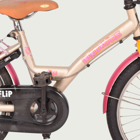 20.1069 kinderfiets - BikeFlip