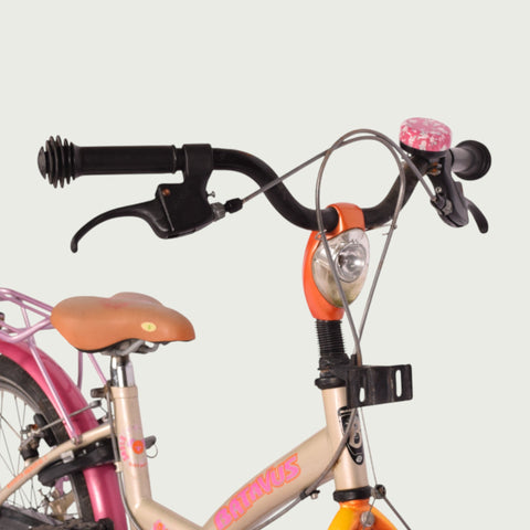 20.1069 kinderfiets - BikeFlip