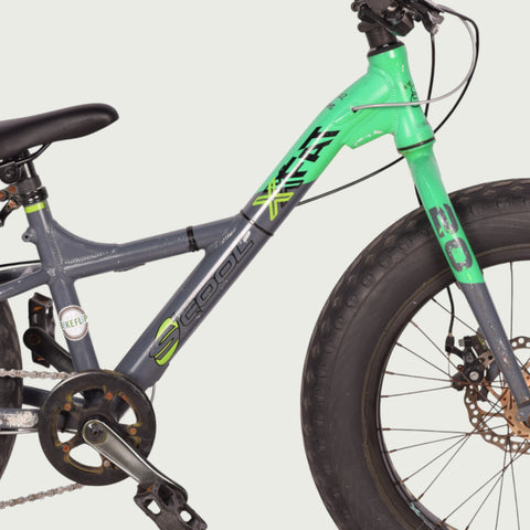 20.1128 kinderfiets - BikeFlip