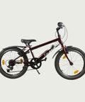 20.116 - BikeFlip