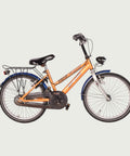 20.1175 kinderfiets - BikeFlip