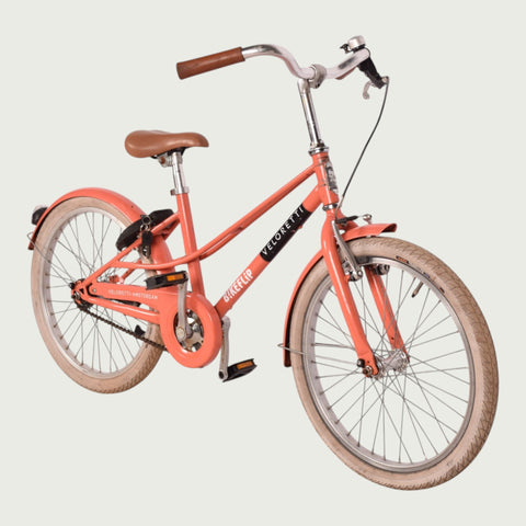 20.1213 kinderfiets - BikeFlip