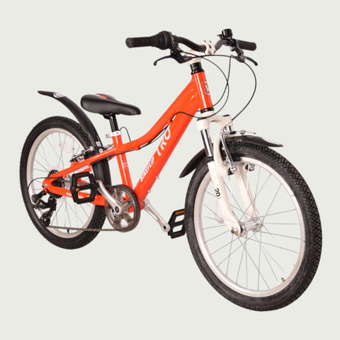 20.1223 kinderfiets - BikeFlip