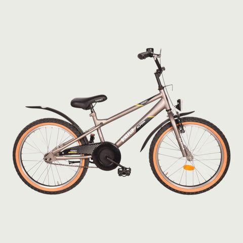 20.1775 kinderfiets - BikeFlip