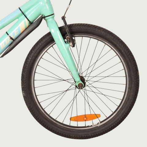20.1913 kinderfiets - BikeFlip