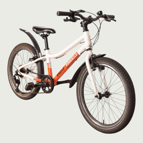 20.1953 kinderfiets - BikeFlip