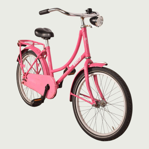 20.2003 kinderfiets - BikeFlip