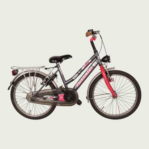 20.271 kinderfiets - BikeFlip