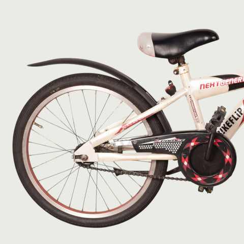 20.417 kinderfiets - BikeFlip