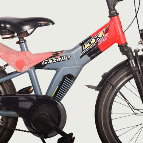 kinderfahrrad gazelle 20 zoll Gazelle 20 inch kinderfiets veelkleurig Leeftijd 7 en 8 jaar