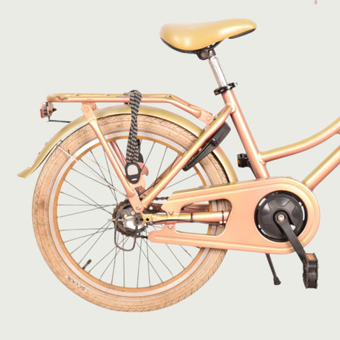 20.652 - BikeFlip